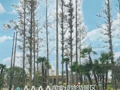 -上海长兴岛郊野公园