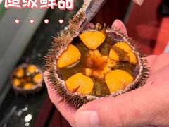 -连鹭海鲜·海肠捞饭·海胆饭(星海店)