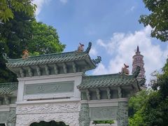-顺峰山公园