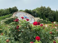 -石家庄市植物园