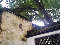 -绍兴鲁迅故里·沈园景区