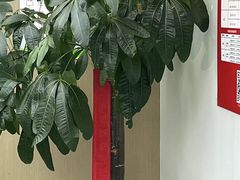 -新航道雅思托福·留学·考研培训(人民广场校区)