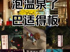 -余姚阳明温泉山庄