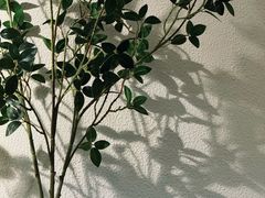 -工页咖啡X COFFEE(龙东路店)