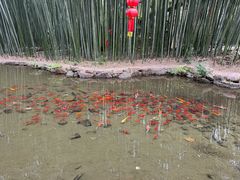 -竹泉村旅游度假区