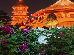 -隋唐洛阳城明堂天堂景区