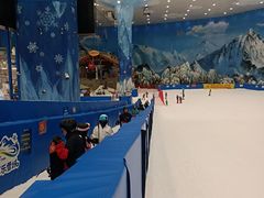 -湘江欢乐城欢乐雪域