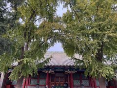 -恭王府博物馆