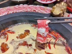 -蜀大侠火锅(四川北路店)