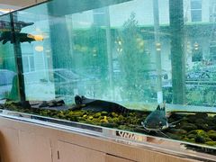 水产区-衡山汇·高级粤菜(霄云路店)