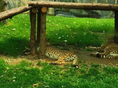 -北京野生动物园