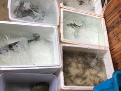 -李东农庄(中南百草园地标店)