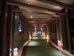 -重庆南山海昌汤都