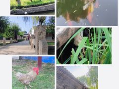 -三里河公园