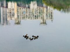 -南宁南湖公园