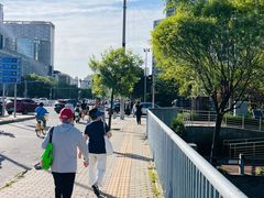 -大望京公园