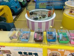 -凯德MALL(望京店)