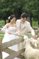 点击看大图 -金夫人婚纱摄影(华南店)