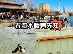 -天津水上公园