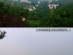 -北京西山国家森林公园