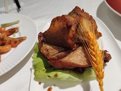 -绿雅酒家(江西中路店)