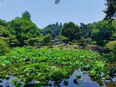 -杭州植物园