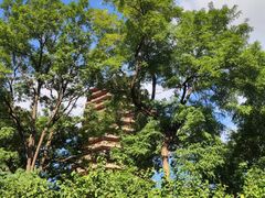 -玲珑塔公园