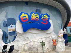 -海合安武汉极地海洋公园