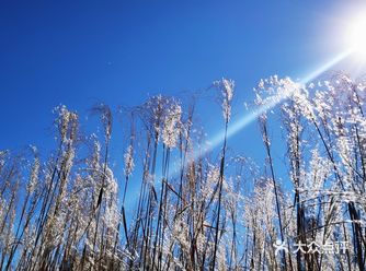 疫情期间确实给了我们足够的时间去放慢脚步漫步生活之中