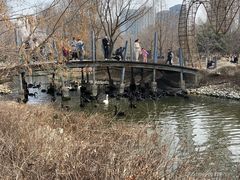 -长白岛森林公园