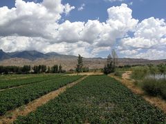 -千姿湖生态旅游景区