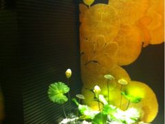 入口-财神日本料理(广州街总店)