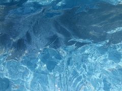 -重庆海昌加勒比海水世界