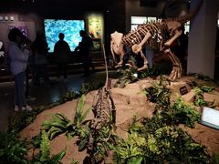 -自贡恐龙博物馆