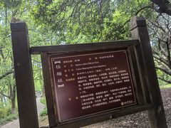 -白马涧龙池景区