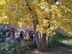 -香山公园-东宫门售票处