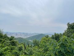 -毛华美食(清扬路店)