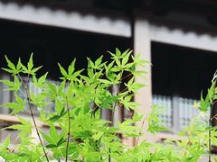 -径山寺