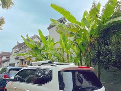 -碧丽宫大酒店(召稼楼店)