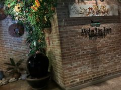 -树下时尚餐厅(翠园街店)