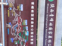 -青峰峡国家森林公园