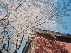 -浙江省杭州高级中学(贡院校区)