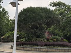 -滴水岩森林公园