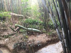 -东部华侨城