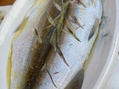 清蒸白鱼-品鲜村农家菜·阳澄湖大闸蟹(总店)