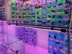 -华声天桥民俗文化园