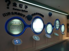 -金钉子远古世界景区