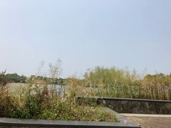 -上海都市菜园