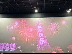 -SFC上影影城(港汇永华IMAX激光店)