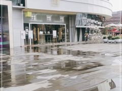 -奈雪的茶(漫广场店)
